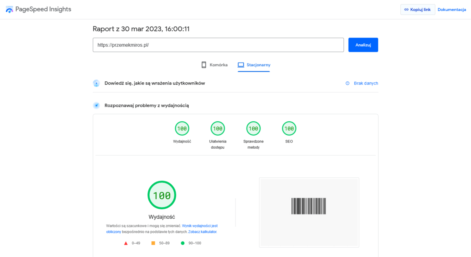 Page Speed Insight - szybkość ładowania strony